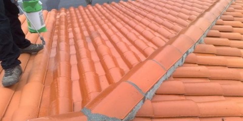 Seconde étape l'application de l’algicide fongicide