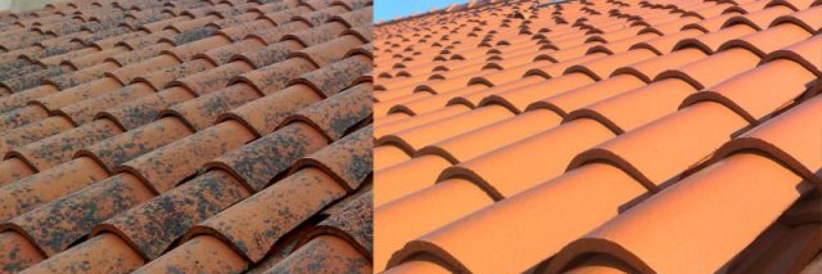 Avant/après de notre service d'hydrofuge de toiture